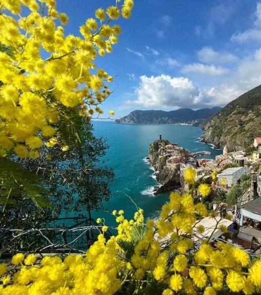 Appartamento Linda A Pochi Passi Dal Mare - 011030-Lt-0357 Vernazza Bagian luar foto